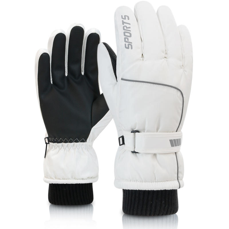 Men's AND WOMEN'S Professional - đánh giá và giá Ski Glove Waterproof